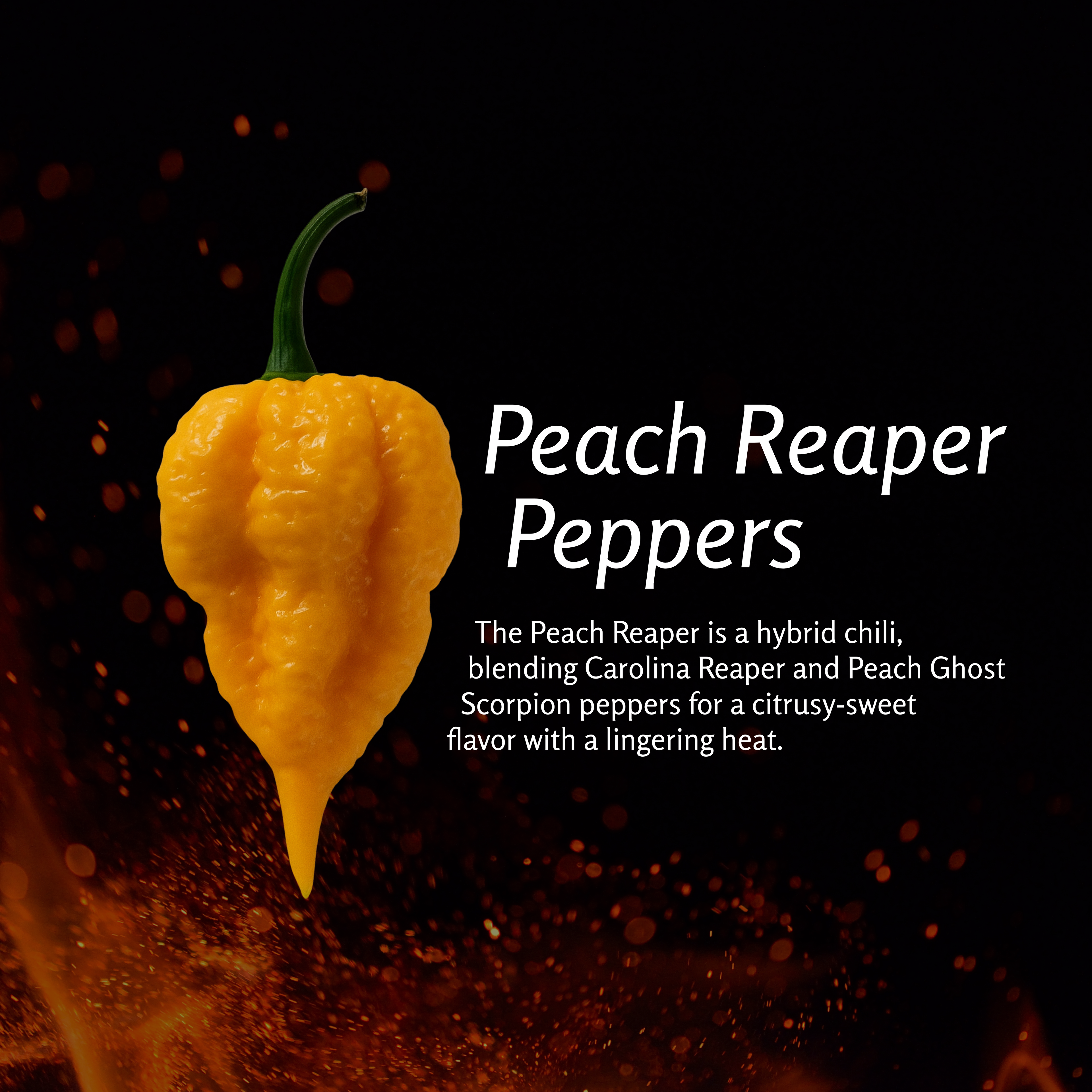 Peach Reaper Scorch Hot Sauce