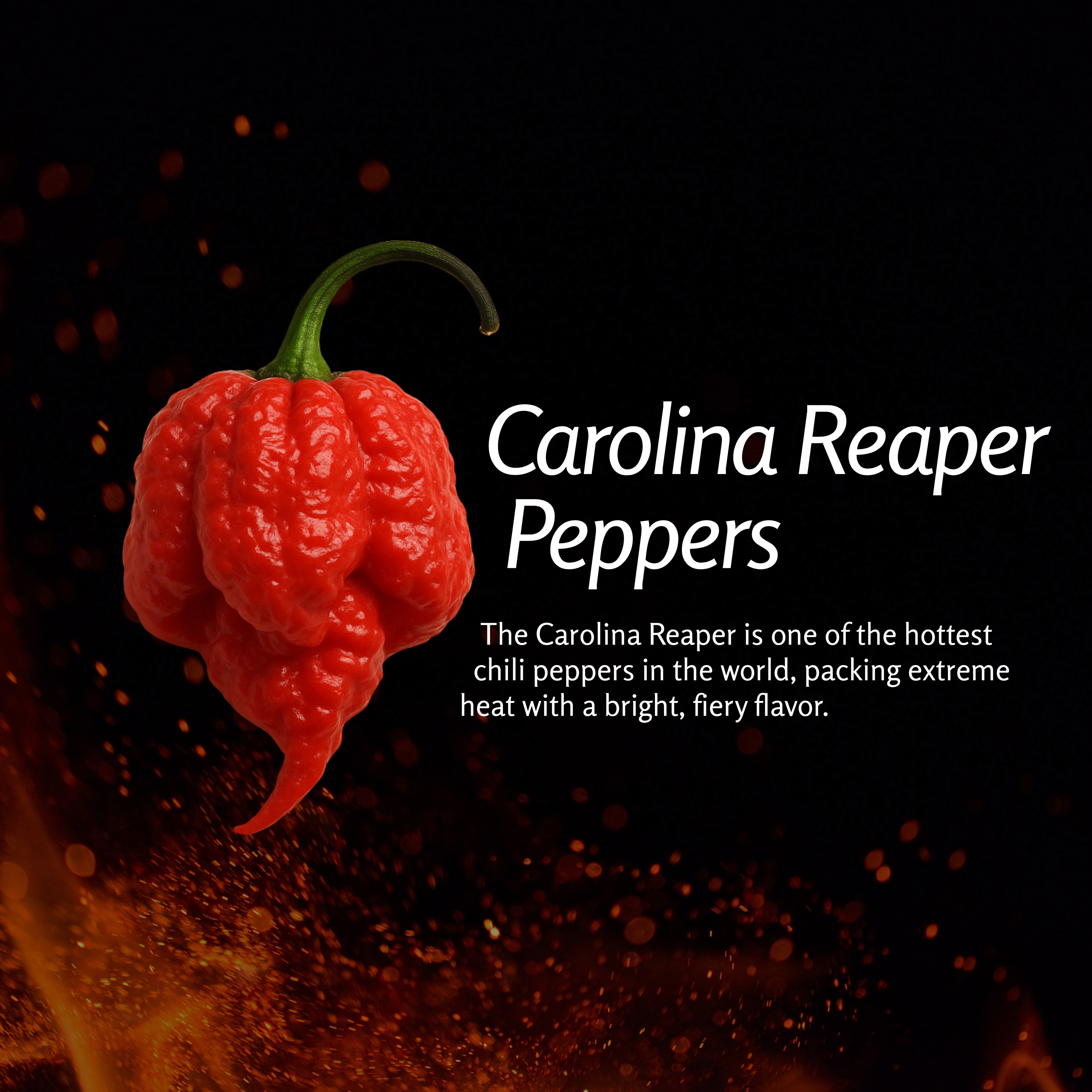 Carolina Reaper Scorch Hot Sauce